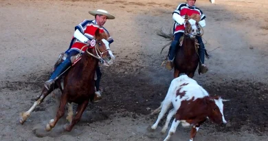 Masculinity & Rodeo During Chile’s Independence Festivities