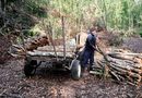 The Charcoal Makers of Soplillar